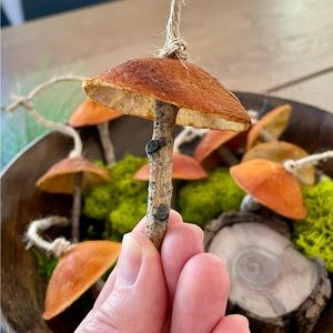Set of six dried orange top and aspen wood stem mushroom ornaments.